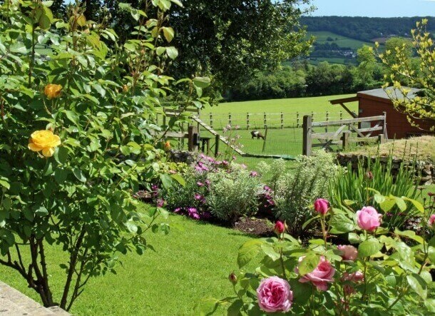 Red Doors Farm